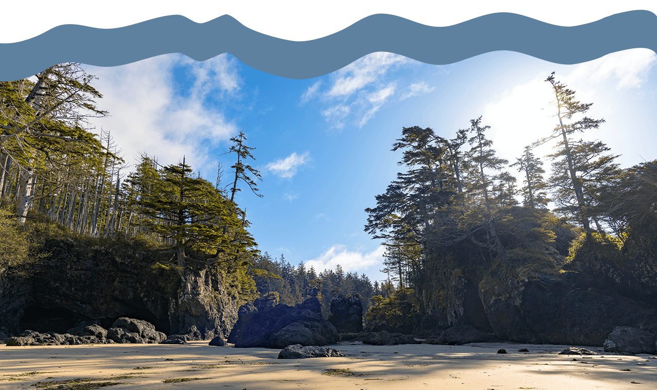 San Josef Bay beach hero image