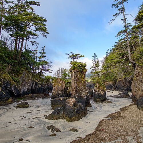 San Josef Bay sea stacks photo